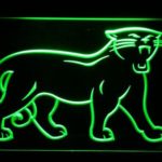 Carolina Panthers 1995-2011 Logo - Legacy Edition - Image 5