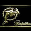 Miami Dolphins