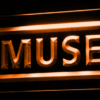 Muse - Image 4
