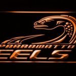Parramatta Eels - Image 4