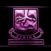 US Army 502nd Parachute Infantry Regiment