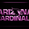 Arizona Cardinals - Legacy Edition