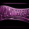 Carolina Panthers 1995 Text - Legacy Edition