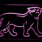 Carolina Panthers 1995-2011 Logo - Legacy Edition - Image 4