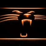 Carolina Panthers Panther - Image 4
