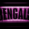 Cincinnati Bengals 1980 Logo - Legacy Edition