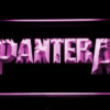 Pantera - Image 8