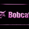 Bobcat - Image 3