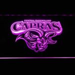 Central Queensland Capras - Image 3