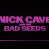 Nick Cave & the Bad Seeds - Image 3