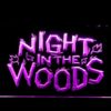 Night in the Woods