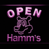 Hamm's Open
