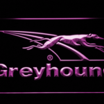 Greyhound - Image 3