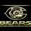 Chicago Bears Bear