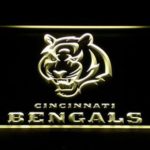 Cincinnati Bengals - Image 6