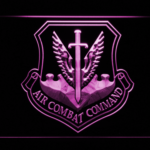 US Air Force Air Combat Command - Image 4