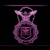 US Air Force Security Forces