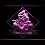 US Marine Corps 2nd Battalion 24th Marines - Image 3