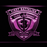 US Marine Corps 1st Battalion 3rd Marines - Image 3