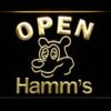Hamm's Open - Image 2