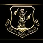 US Air Force Air National Guard Emblem - Image 2