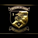 US Marine Corps 1st Battalion 25th Marines - Image 2