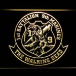 US Marine Corps 1st Battalion 9th Marines - Image 8