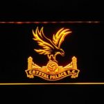 Crystal Palace Football Club - Image 8