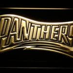 Carolina Panthers 1995 Text - Legacy Edition - Image 8