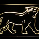 Carolina Panthers 1995-2011 Logo - Legacy Edition - Image 7