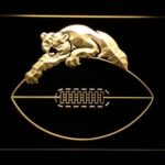 Chicago Bears 1946-1973 Logo - Legacy Edition - Image 8