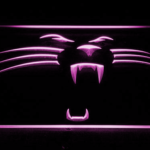 Carolina Panthers Panther - Image 5