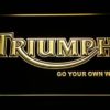 Triumph Go Your Own Way - Image 2