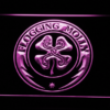 Flogging Molly - Image 8