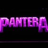 Pantera Wordmark - Image 2