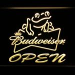 Budweiser Frog Open - Image 2