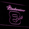 Budweiser 8 Dale Jr.