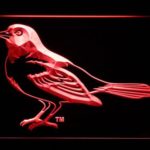 Baltimore Orioles 1999-2008 Oriole - Legacy Edition - Image 3