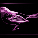 Baltimore Orioles 5 - Image 6