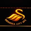 Swansea City AFC - Image 7