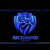 Richmond Tigers - Image 3