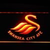Swansea City AFC - Image 6