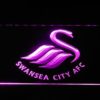 Swansea City AFC - Image 8