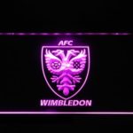 AFC Wimbledon - Image 8