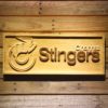 Cincinnati Stingers Wood Sign - Legacy Edition
