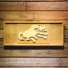 Denver Broncos 1962-1965 Helmet Logo Wood Sign - Legacy Edition