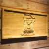Minnesota Twins 40th Season Logo Wood Sign - Legacy Edition