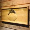 Chicago Bears 1946-1973 Logo Wood Sign - Legacy Edition