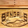 Cincinnati Bengals 30th Anniversary Logo Wood Sign - Legacy Edition