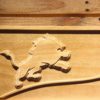 Detroit Lions Split Wood Sign
